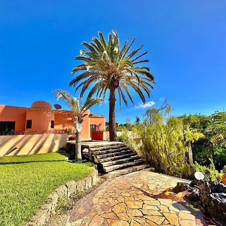Tropical Garden Finca Guia de Isora  Exterior photo