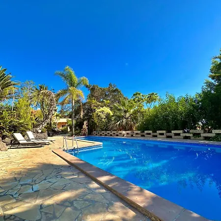 Tropical Garden Finca Guia de Isora  Exterior photo