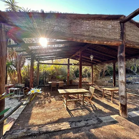 Tropical Garden Finca Guia de Isora  Exterior photo